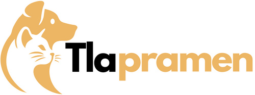 🐾Tlapramen
